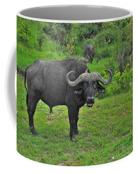  Coffee Mug featuring the photograph 26k by Jay Handler