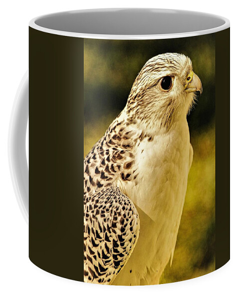 Bird Of Pray Feathers Eye Coffee Mug featuring the photograph Bird3 by John Linnemeyer