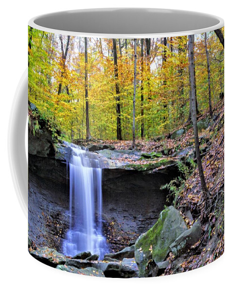  Coffee Mug featuring the photograph Blue Hen Falls by Brad Nellis