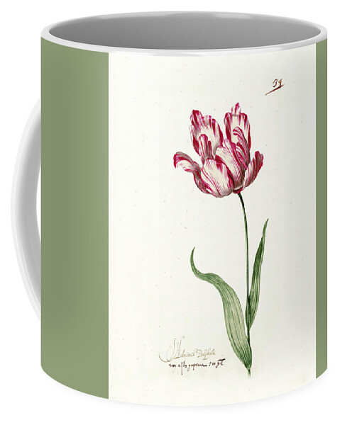 Poster Coffee Mug featuring the painting Great Tulip Book #3 by MotionAge Designs