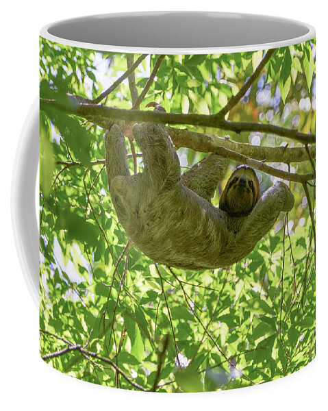 Costa Rica Coffee Mug featuring the photograph Hanging Around #3 by Brian Kamprath