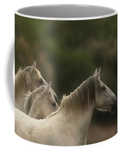 Salt River Wild Horses Coffee Mug featuring the photograph 3 by Shannon Hastings