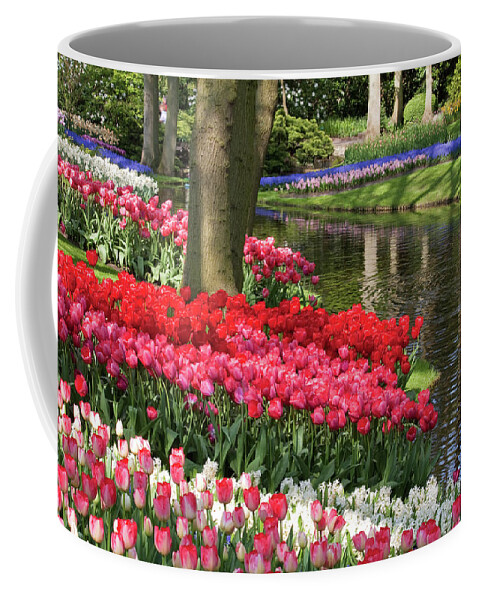 Keukenhof Coffee Mug featuring the photograph Swathes of colour by Shirley Mitchell