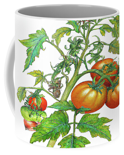 Tomatoes Coffee Mug featuring the digital art 3 Tomatoes 3c by Cathy Anderson