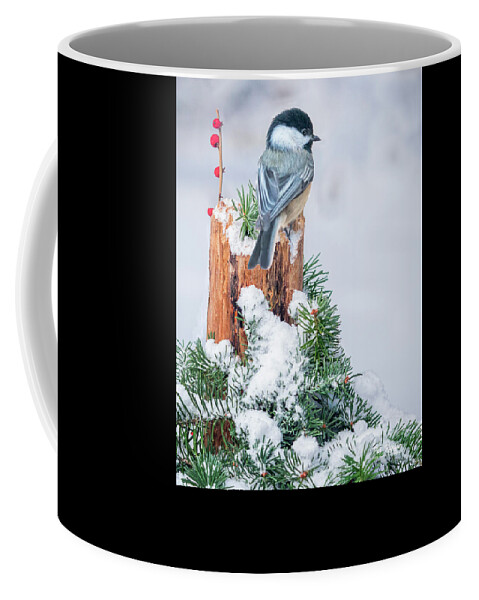 Bird Coffee Mug featuring the photograph White Out by Peg Runyan