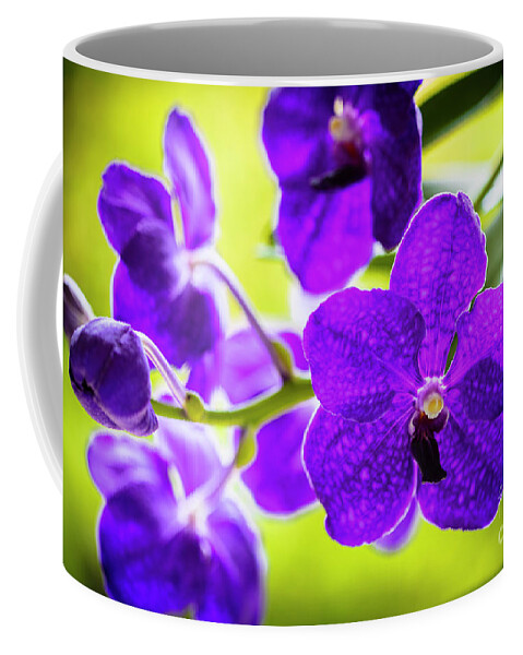 Background Coffee Mug featuring the photograph Purple Orchid Flowers #30 by Raul Rodriguez