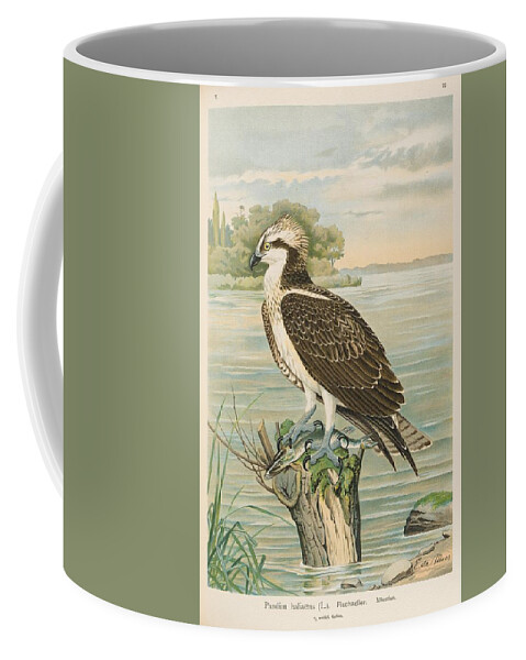 Raptor Coffee Mug featuring the mixed media Beautiful Vintage Raptor by Beautiful Nature Prints