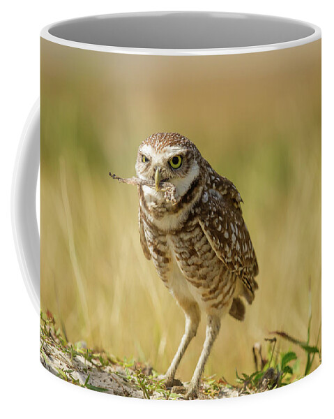 Owl Coffee Mug featuring the photograph Burrowing Owl by Doug McPherson