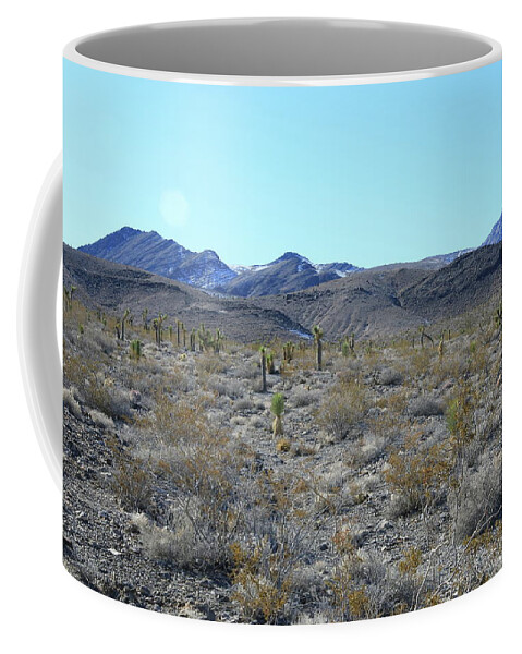 California Coffee Mug featuring the photograph Death Valley National Park #32 by Jonathan Babon