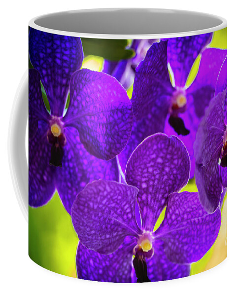 Background Coffee Mug featuring the photograph Purple Orchid Flowers #35 by Raul Rodriguez