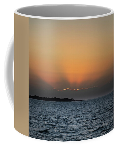 Coffee Mug featuring the photograph Florida #4 by Lars Mikkelsen