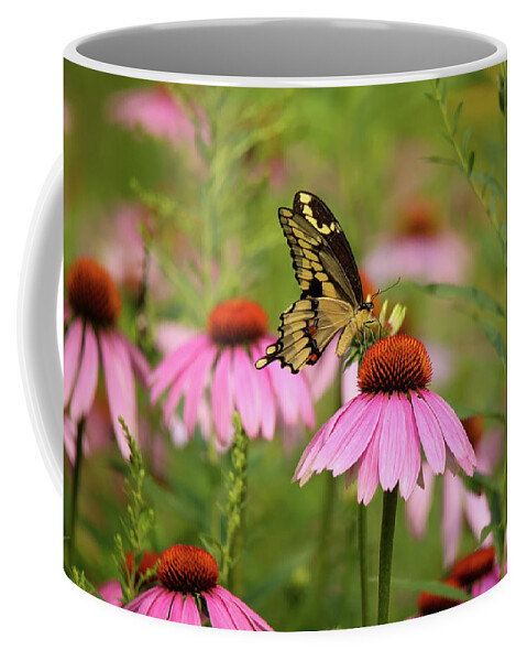 Butterfly Coffee Mug featuring the photograph Giant Swallowtail #4 by Brook Burling