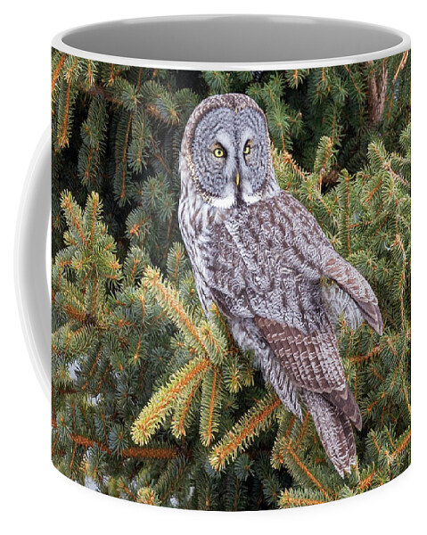 Sax Zim Bog Coffee Mug featuring the photograph Great Gray Owl #4 by Paul Schultz