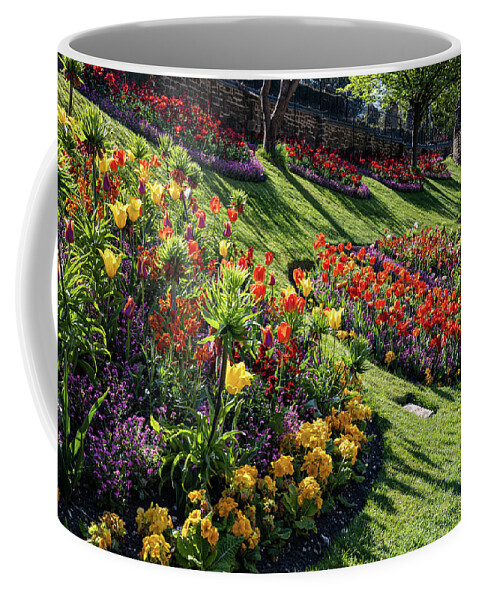 Plant Coffee Mug featuring the photograph Guildford Castle Gardens #4 by Shirley Mitchell