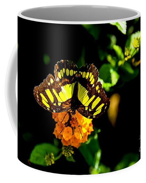 Malachite Butterfly Coffee Mug featuring the digital art Malachite Butterfly #4 by Tammy Keyes