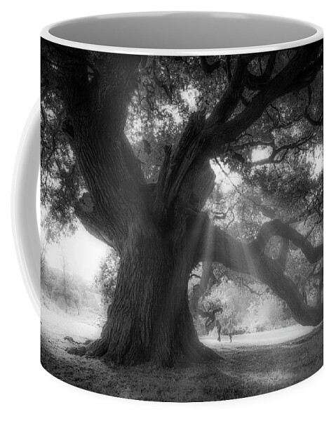 Trees Coffee Mug featuring the photograph Old oak #4 by Remigiusz MARCZAK