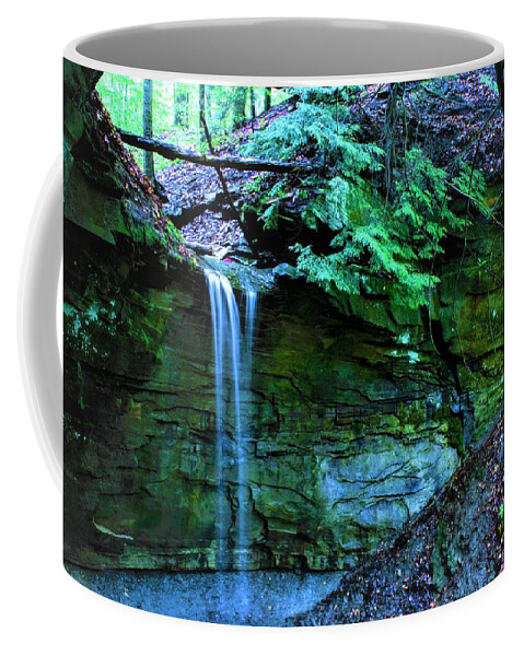 Waterfall Coffee Mug featuring the photograph Secret Falls #4 by Brad Nellis