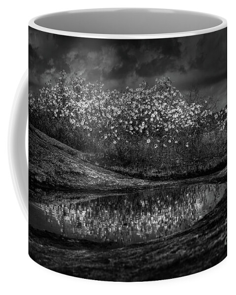 Black And White Coffee Mug featuring the photograph Untitled 4 by Doug Sturgess
