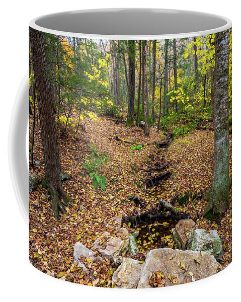 2018 Coffee Mug featuring the photograph Appalachian Autumn by Stef Ko