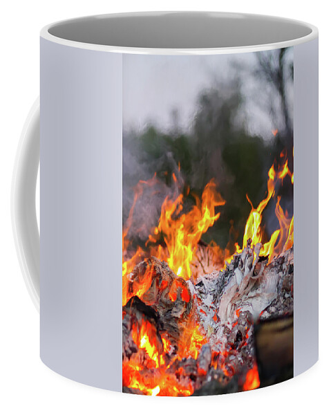 Bonfire Coffee Mug featuring the photograph Bonfire at a camp in summer evening outdoors #5 by Olga Strogonova
