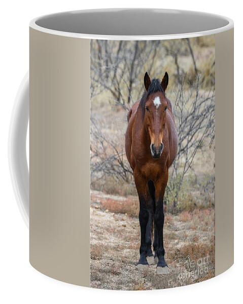 Mick The Salt River Wild Horse Coffee Mug featuring the digital art Mick #5 by Tammy Keyes