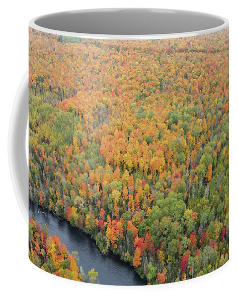 Autumn Coffee Mug featuring the photograph Pine River #5 by Brook Burling