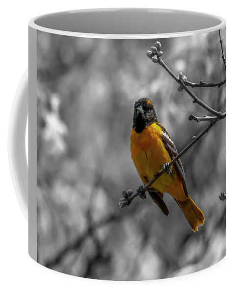 Bird Coffee Mug featuring the photograph Stand Out #5 by Cathy Kovarik