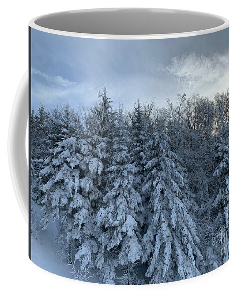  Coffee Mug featuring the photograph Winter Wonderland #5 by Annamaria Frost
