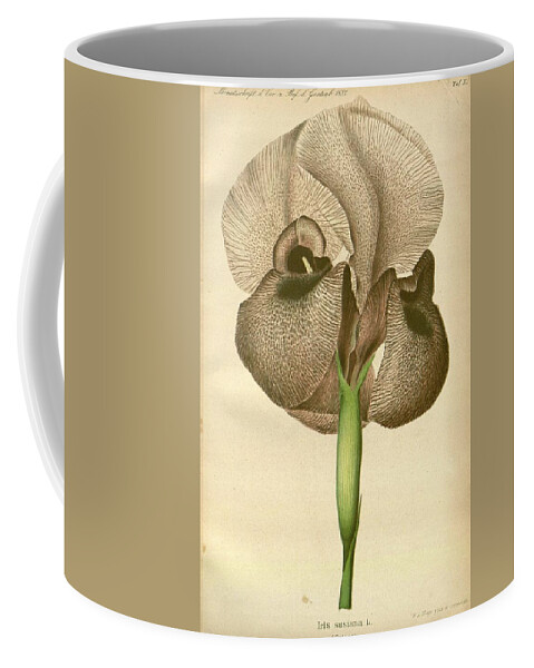 Flower Coffee Mug featuring the mixed media Beautiful Vintage Flower #597 by World Art Collective