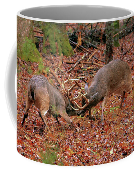 Rut Coffee Mug featuring the photograph Whitetail In Rut by Doug McPherson