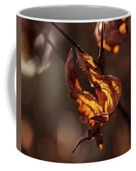 Landscape Coffee Mug featuring the photograph Nature Photography - Fall Leaves by Amelia Pearn