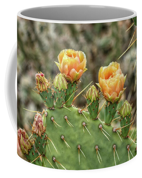 Sharp Coffee Mug featuring the photograph Prickly Pear Cactus Blooms in the Sonoran Desert #6 by Kenneth Roberts