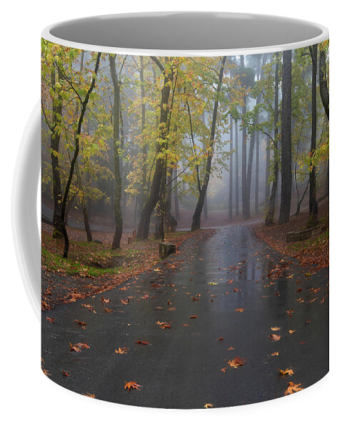 Autumn Coffee Mug featuring the photograph Autumn landscape with trees and Autumn leaves on the ground after rain #5 by Michalakis Ppalis