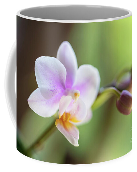 Background Coffee Mug featuring the photograph Purple Orchid Flower #7 by Raul Rodriguez