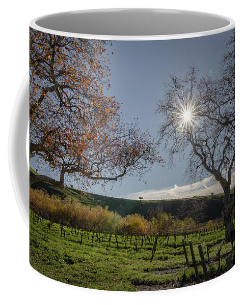  Coffee Mug featuring the photograph San Luis Obispo #8 by Lars Mikkelsen