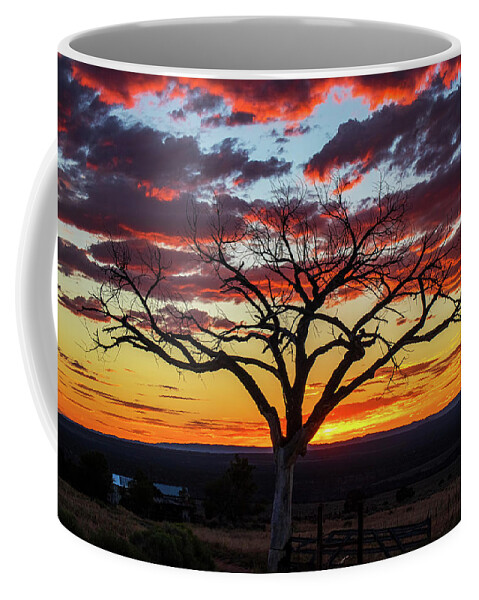 Taos Coffee Mug featuring the photograph Taos Welcome Tree #7 by Elijah Rael
