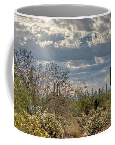 Arizona Coffee Mug featuring the photograph White Tank Mountain State Park Near Phoenix Arizona #8 by Kenneth Roberts