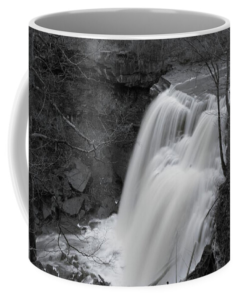  Coffee Mug featuring the photograph Brandywine Falls by Brad Nellis