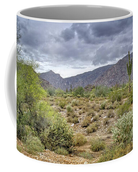 Saguaro Coffee Mug featuring the photograph White Tank Mountain Scenes Near Phoenix Arizona #9 by Kenneth Roberts