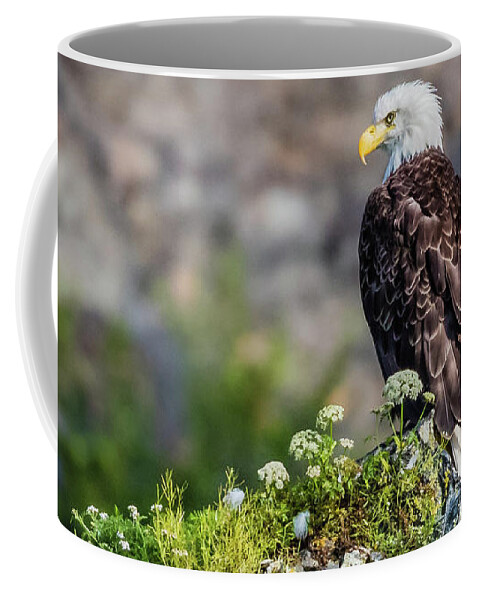 Eagle Coffee Mug featuring the photograph Bald eagle sitting on the rock by Lyl Dil Creations