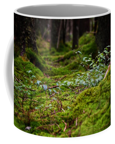 Photo Coffee Mug featuring the photograph Moss under the Spruce by Evan Foster
