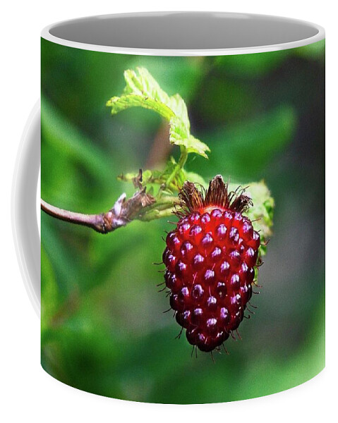 Alone Coffee Mug featuring the photograph A Berry Red Berry by David Desautel