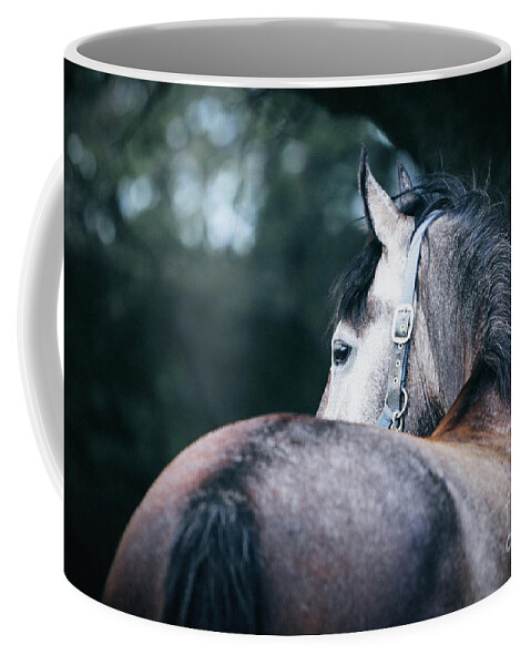 Horse Coffee Mug featuring the photograph A close-up portrait of horse profile in nature by Dimitar Hristov