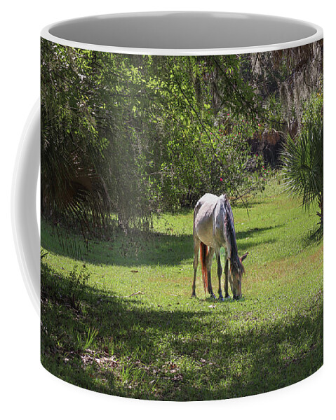 One Of The Beautiful Wild Horses At Cumberland Island Coffee Mug featuring the photograph A Cumberland Island Graze by Ed Williams