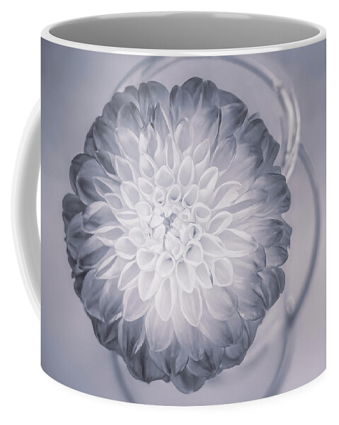 Dahlia Coffee Mug featuring the photograph A Dahlia in Shades of Grey by Sylvia Goldkranz