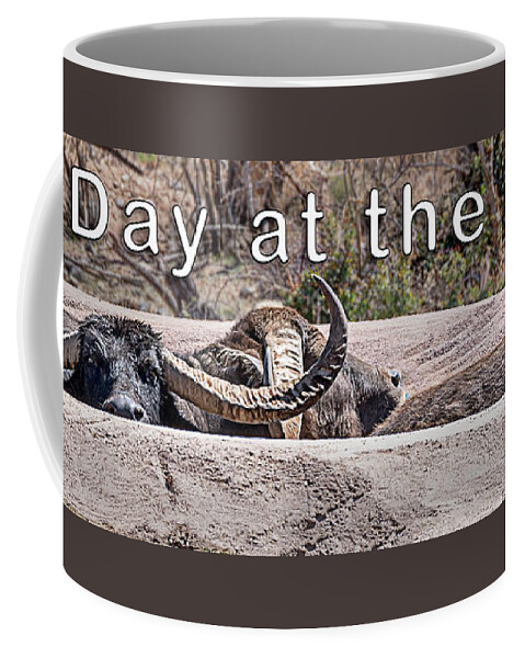  Coffee Mug featuring the photograph A Day at the Pool by Al Judge