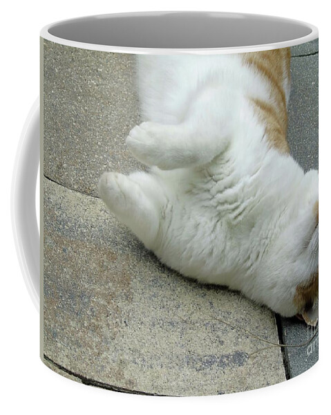 Cat Coffee Mug featuring the photograph A Different Look At Life by D Hackett