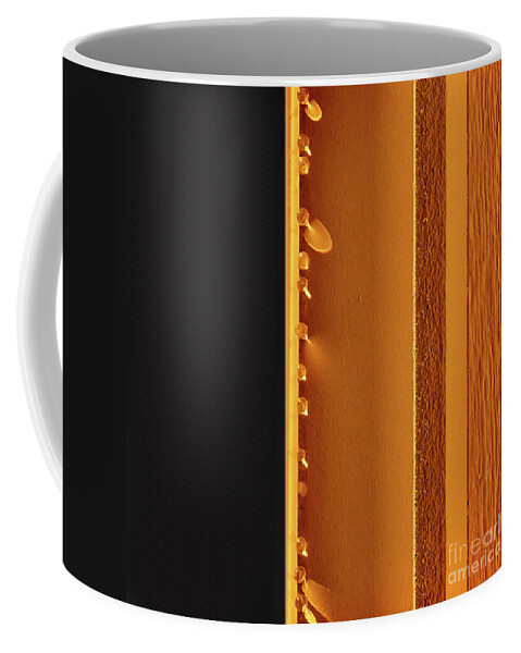 Water Coffee Mug featuring the photograph A Different Rainbow by Karen Adams