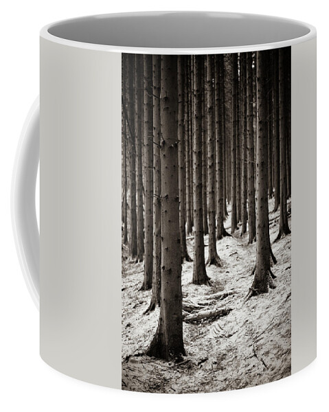Pine Forest Coffee Mug featuring the photograph A dusting of snow by Gavin Lewis
