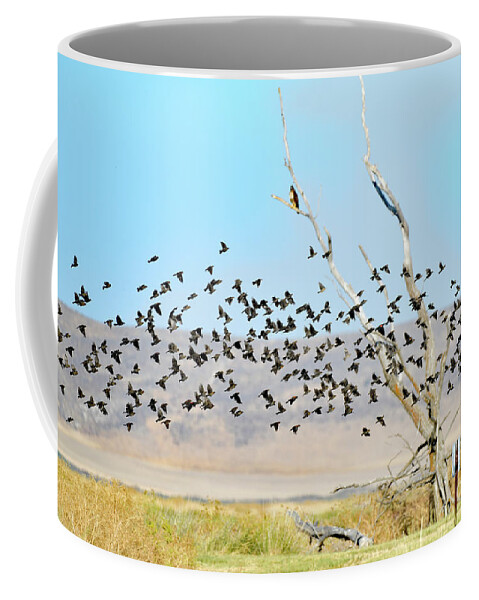 Red-winged Blackbird Coffee Mug featuring the photograph A Flock of Red-winged blackbird by Amazing Action Photo Video